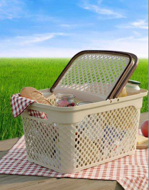 Travel Basket